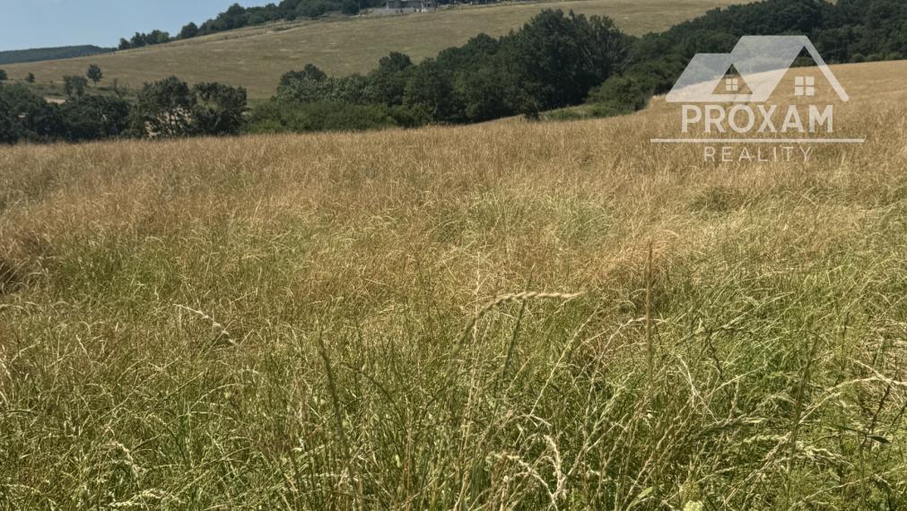 Na predaj jedinečný súbor poľnohospodárskych pozemkov a lesa, okres Krupina