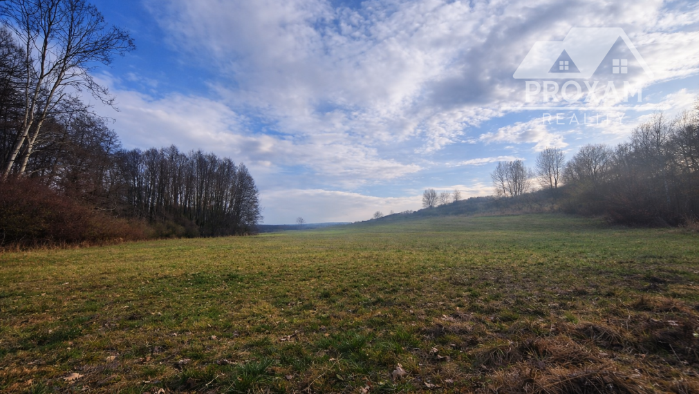 Pozemok na polosamote v lone prírody Červeň