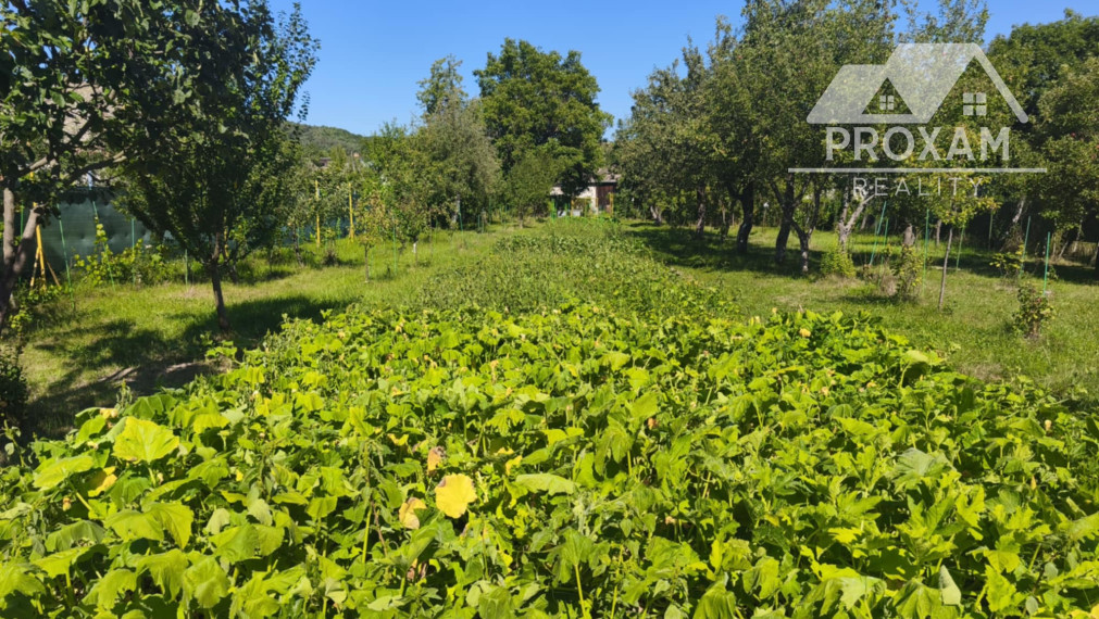Predaj,rodinný dom s vačšou záhradou