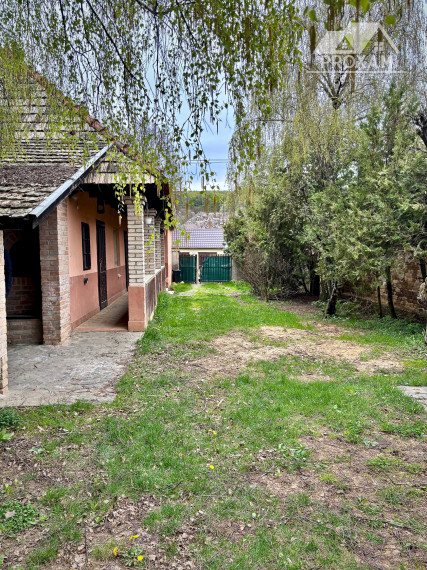 Dom s veľkorysým pozemkom a vlastným ovocným sadom