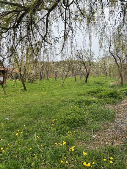 Dom s veľkorysým pozemkom a vlastným ovocným sadom