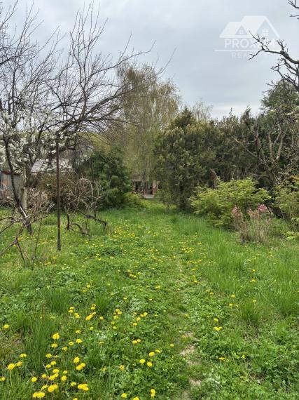 Dom s veľkorysým pozemkom a vlastným ovocným sadom