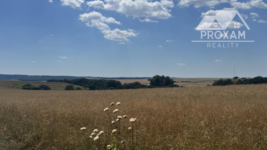 Na predaj jedinečný súbor poľnohospodárskych pozemkov a lesa, okres Krupina