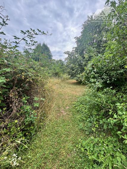 Na predaj štýlový rodinný dom s rozľahlým pozemkom 4 500 m² v obci Ľuboreč