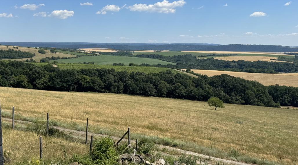 Na predaj jedinečný súbor poľnohospodárskych pozemkov a lesa, okres Krupina