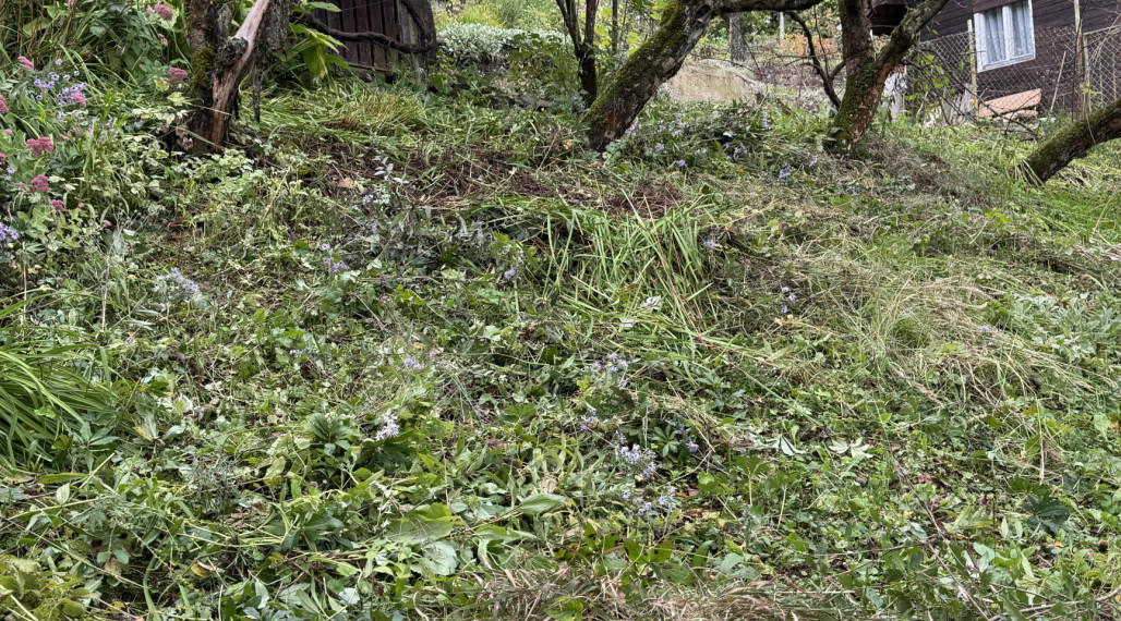 Na predaj slnečná záhrada s chatkou BB časť Fončorda