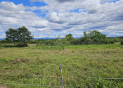 INVESTIČNÝ STAVEBNÝ POZEMOK 4 000 m² – Lučenec, časť Vinica - fotografia 2