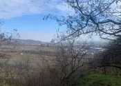 Na predaj pozemok vo Svätom Jure - fotografia 1