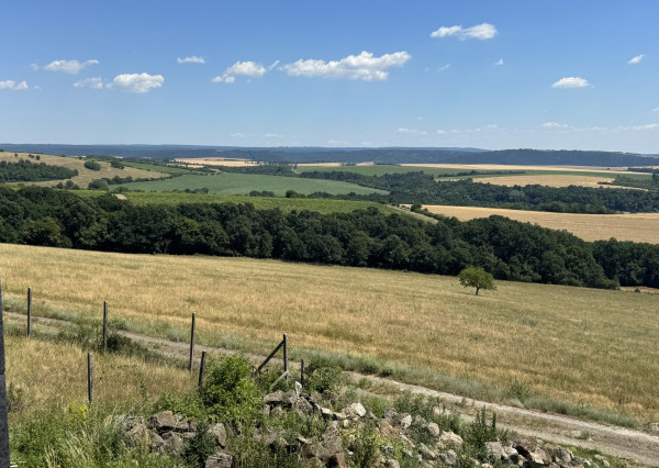 Na predaj jedinečný súbor poľnohospodárskych pozemkov a lesa, okres Krupina