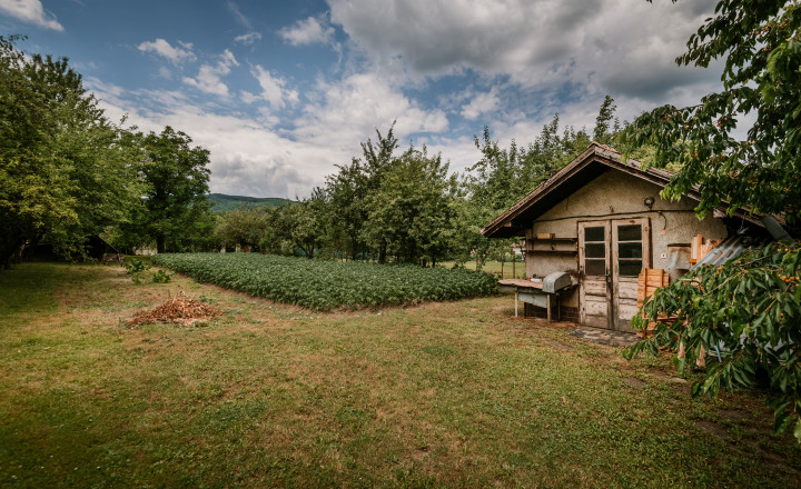 Predaj rodinného domu v obci Divín s výhľadom na hrad - fotografia 7