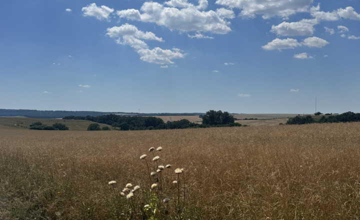Na predaj jedinečný súbor poľnohospodárskych pozemkov a lesa, okres Krupina - fotografia 1