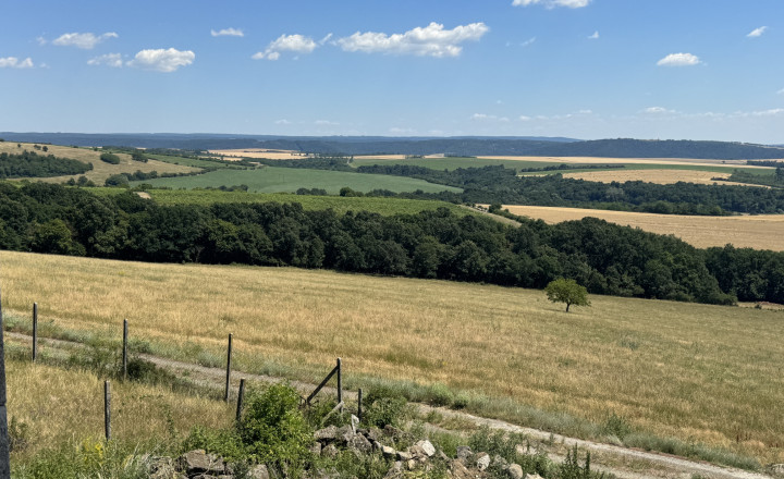Na predaj jedinečný súbor poľnohospodárskych pozemkov a lesa, okres Krupina