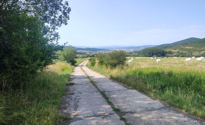 Na predaj rovinatý pozemok 1205m2 na rekreačné účely.