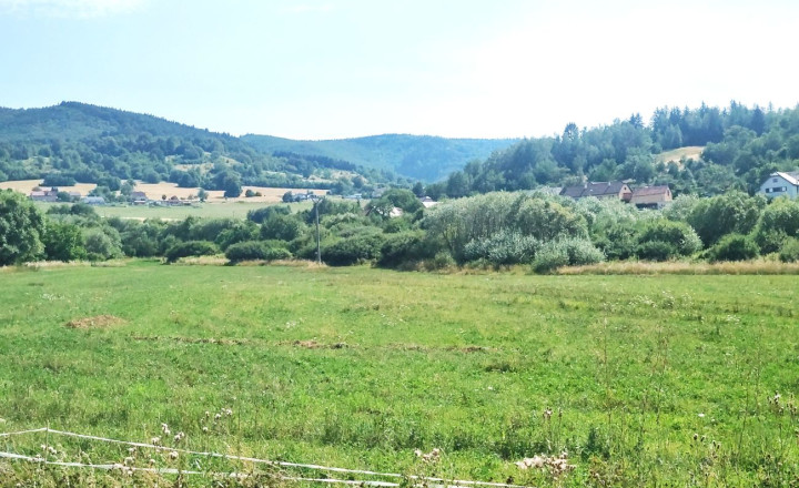 Na predaj rovinatý pozemok 1205m2 na rekreačné účely. - fotografia 3