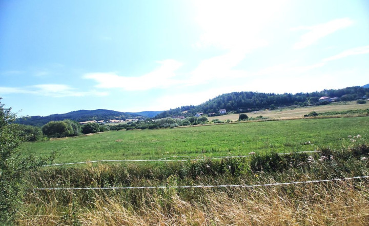 Na predaj rovinatý pozemok 1205m2 na rekreačné účely. - fotografia 4