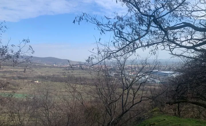 Na predaj pozemok vo Svätom Jure