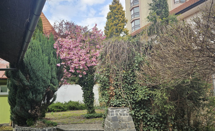Predaj komerčnej nehnuteľnosti v centre mesta Lučenec - fotografia 22